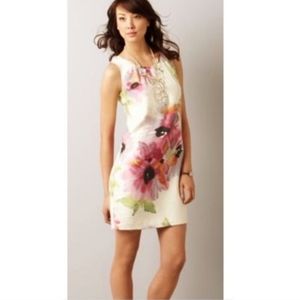Floral Spring Dress Watercolor Floral Shift